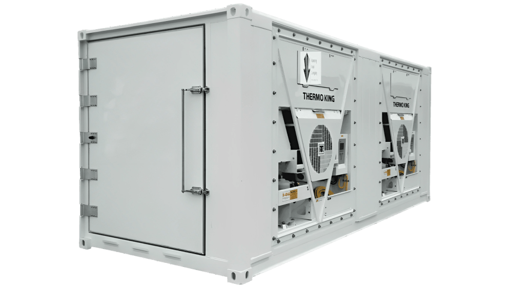 10ft Mobile Freezer Cold Storage Container