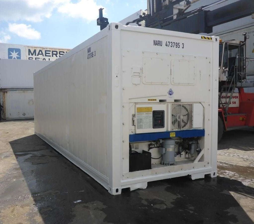 30 Feet Freezer Container Customized Mobile Cold Storage Cell Container / Reefer for Sale - Image 2