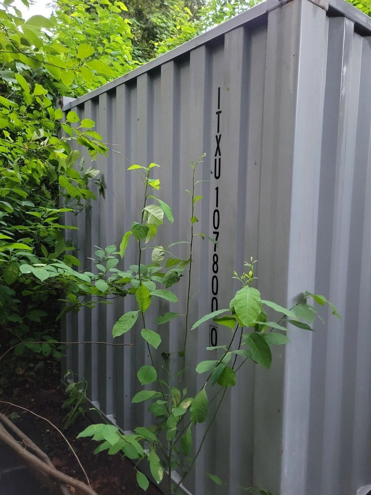 20Ft Steel Shipping Container/Storage Container for Sale - Image 3