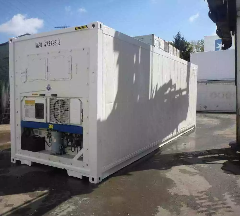 30 Feet Freezer Container Customized Mobile Cold Storage Cell Container / Reefer for Sale