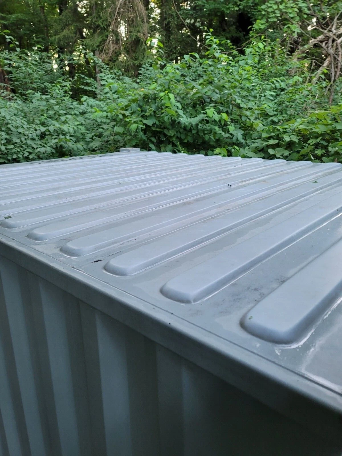 20Ft Steel Shipping Container/Storage Container for Sale - Image 6